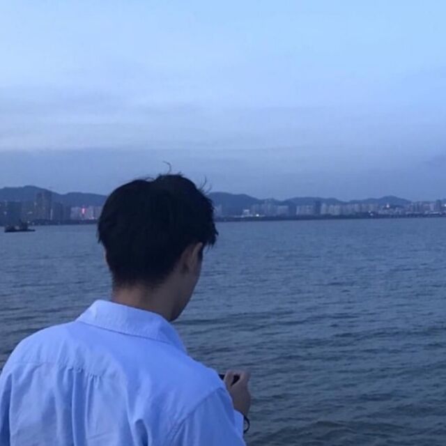 1092118 叶