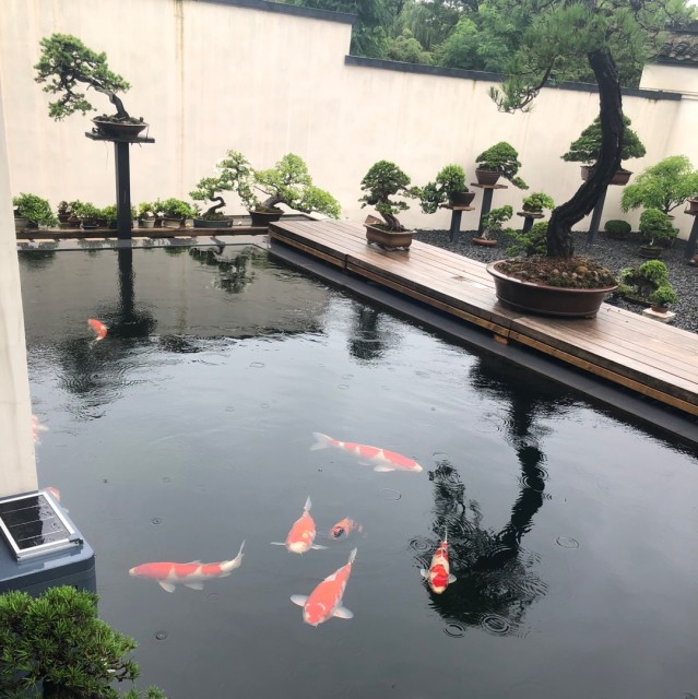 109213 阿风