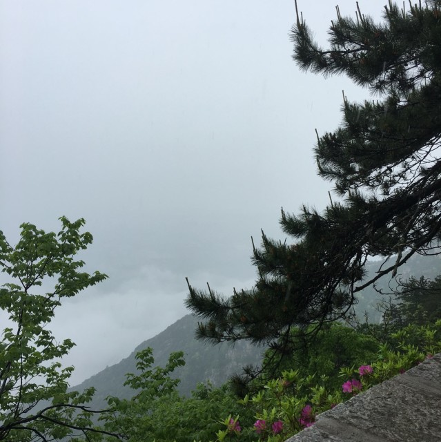 1092358 ≮火あ龙≯