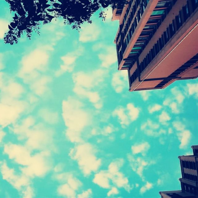 1092784 大林