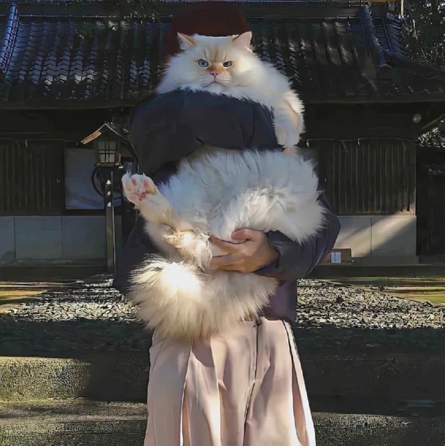 1092827 고집불통