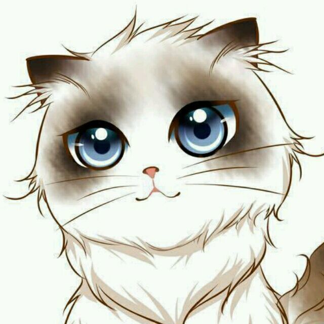 1093267 EightKitten