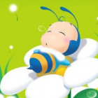 1093326 Daisy