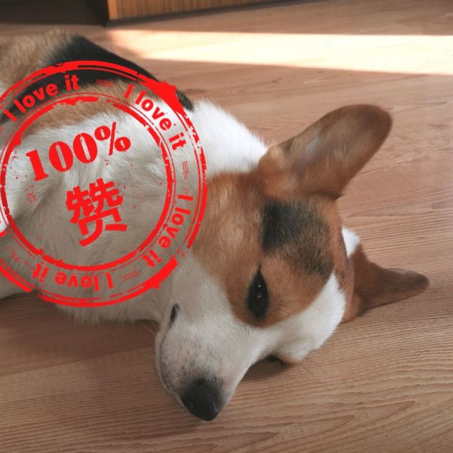 1093736 ❤言语V武❤