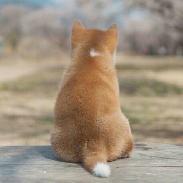 1094756 从前慢