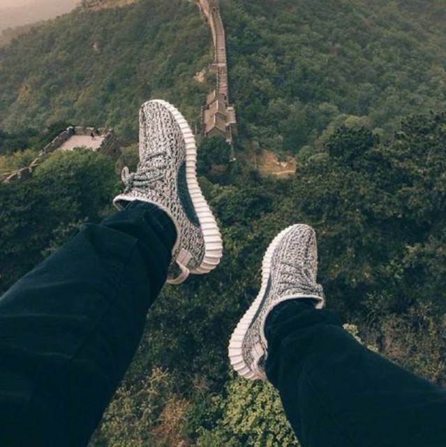 1095004 白桦树下的背影