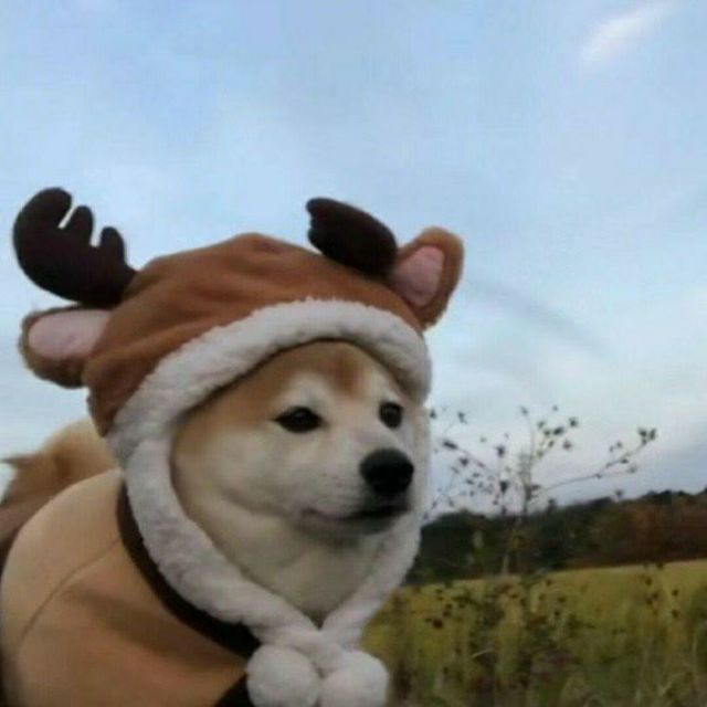 109507 趁早
