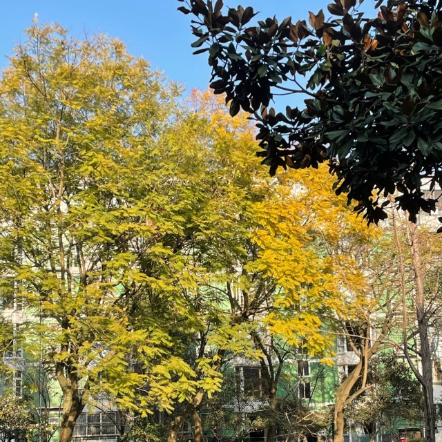 109535 执着