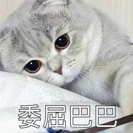 109568 微凉