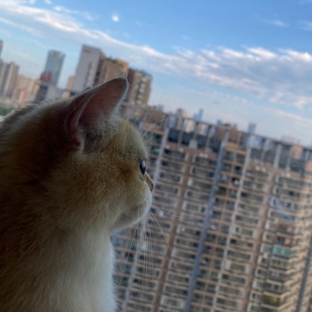 1096100 够钟