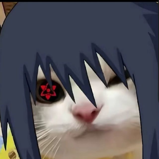 1096426 心太软re的祸