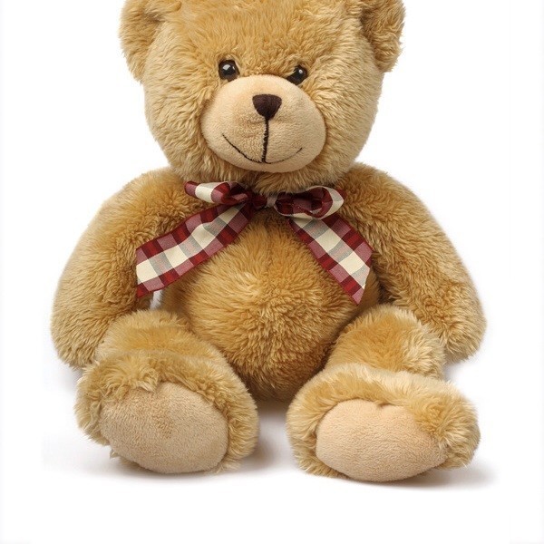 1096613 Teddy