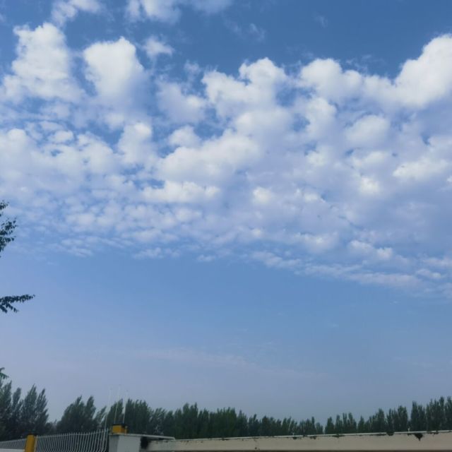 1097012 学无止境