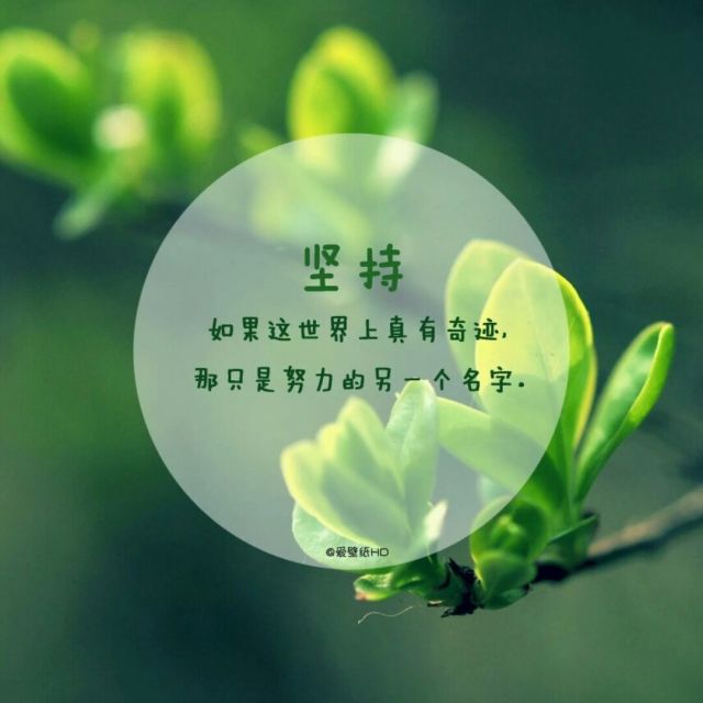 109715 行者龙五
