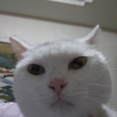 1097641 开开