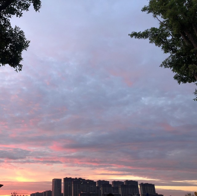 1097731 ㄒ