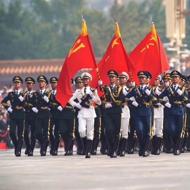 1097864 E虎