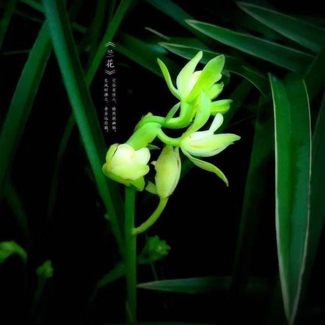 1098245 莫忘初心