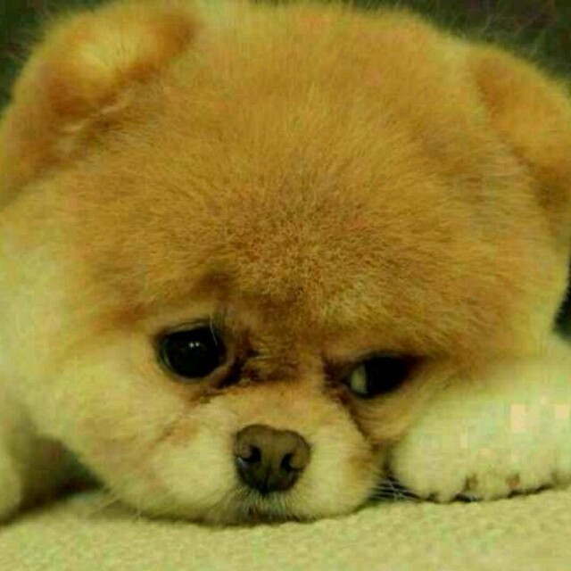 1098465 黑白