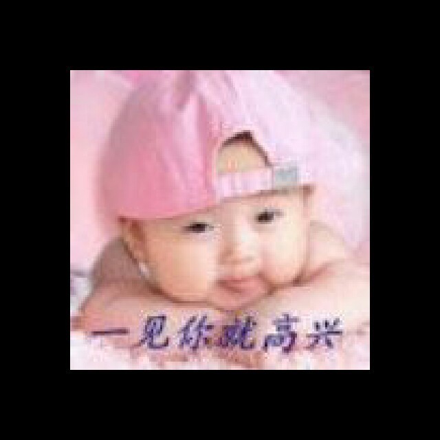 1098651 四季花开