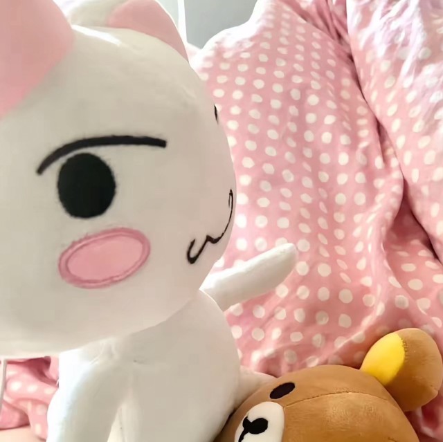 1098951 眉眼