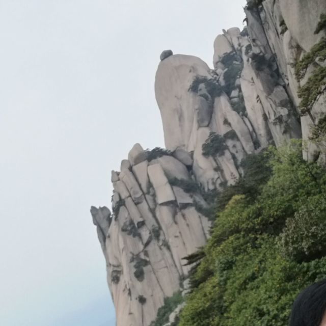 1099012 大佬