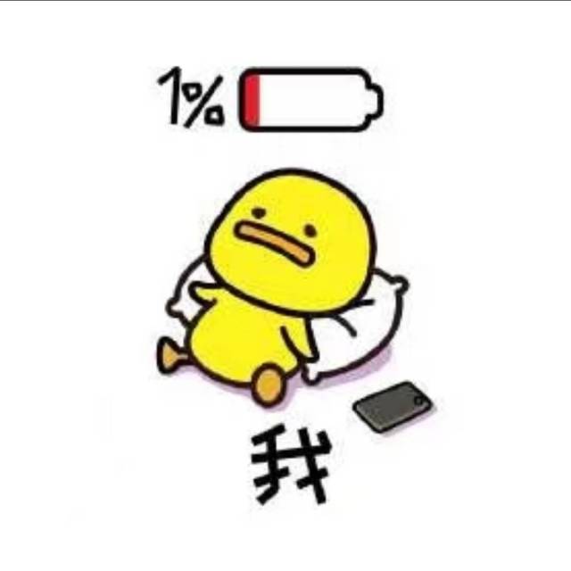 1099499 果果