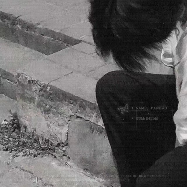110033 给力。