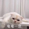 QQ头像