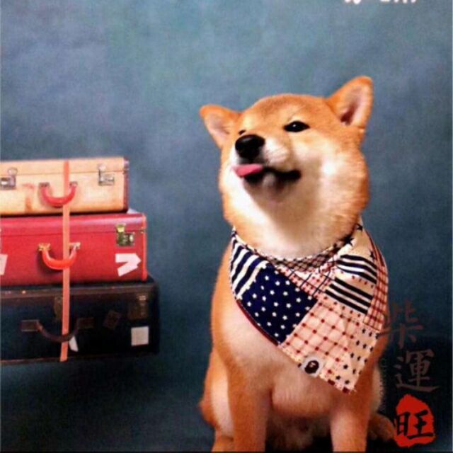 110454 加心糖