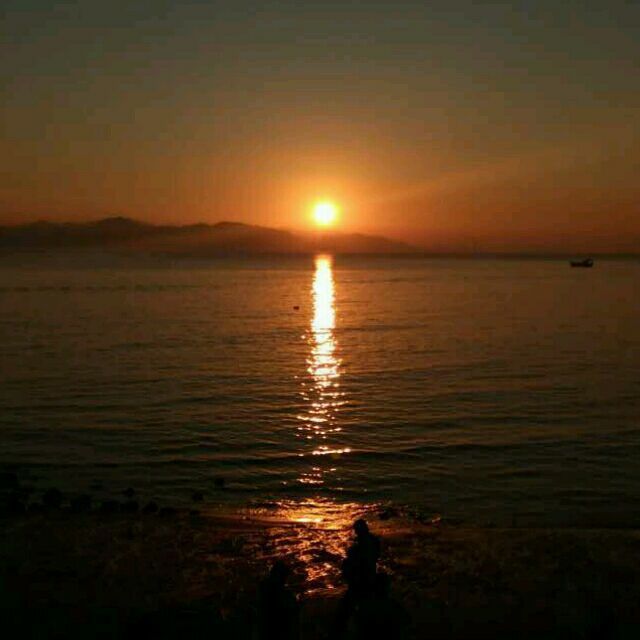 110715 【童雷】