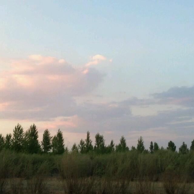 110788 天运有常