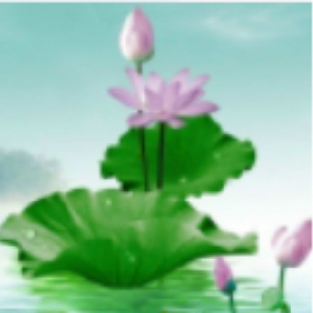 110889 胎早教辅导师