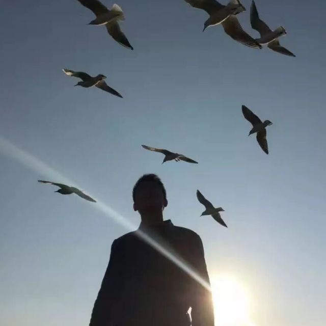 1110025  知 了