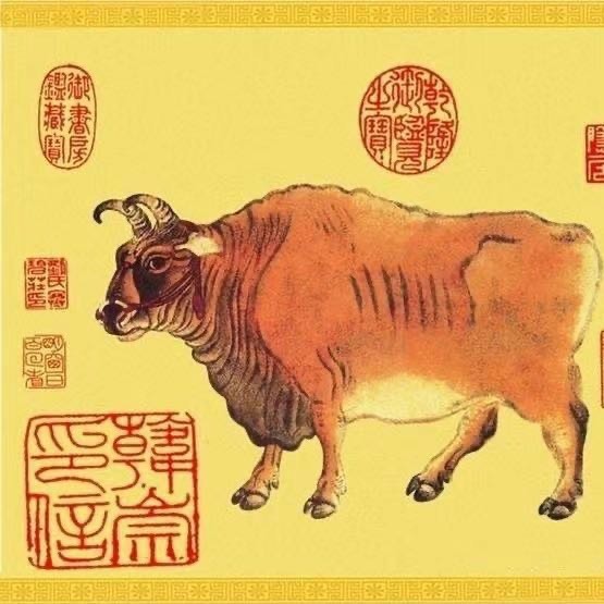 1110698 风行天下