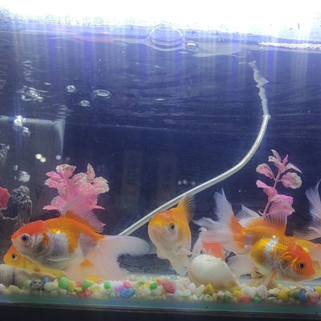 1110959 孤独