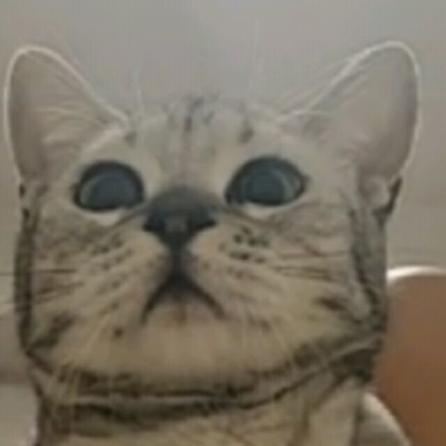 1111699 一米五七怪我喽