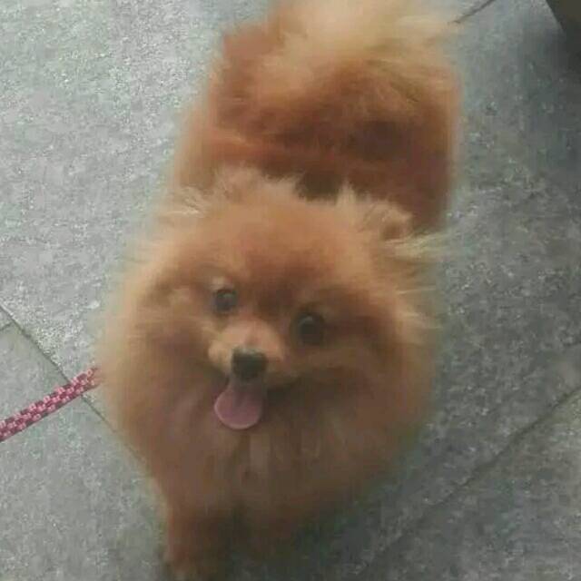 1112691 天涯