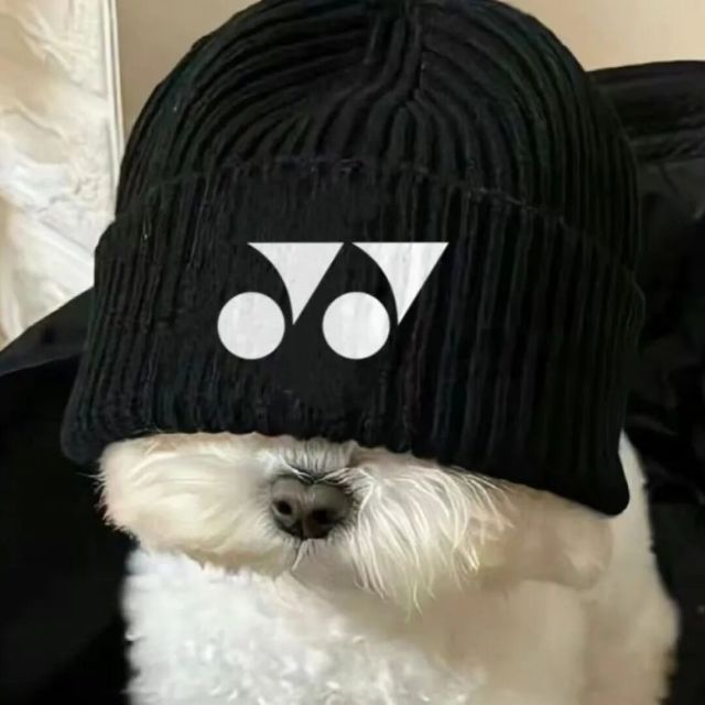 1112752 钱！钱！钱！