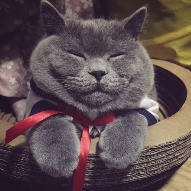 1112762 权志肉