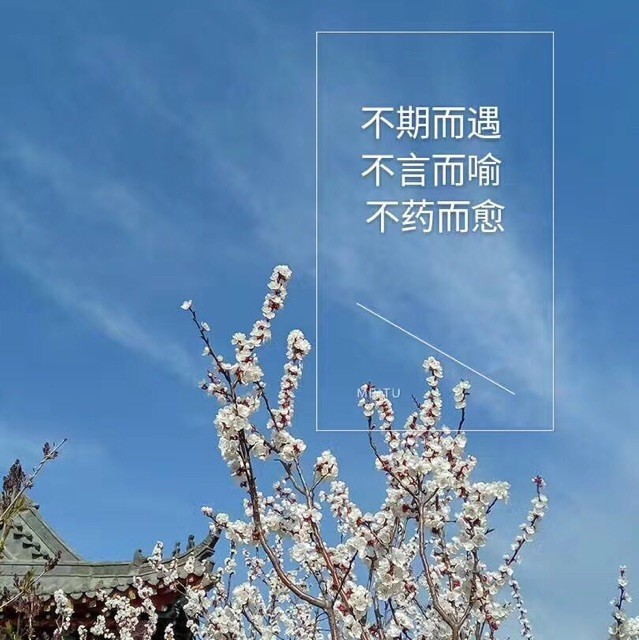 1112858 宁静至遠