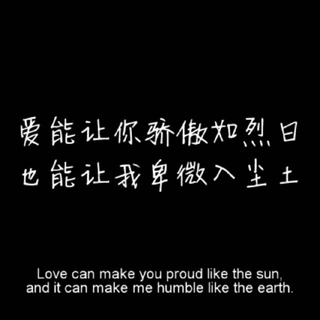 1113065 渐渐的风