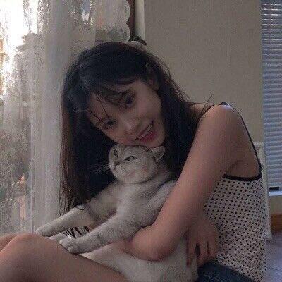 1113353 布吉岛