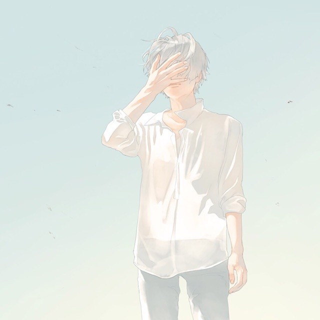 1113536 梧桐