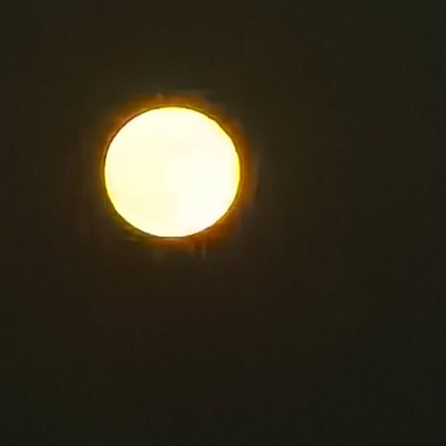 1113563 単曲Ｘｕｎ环
