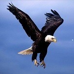 1113573 ヾ☆..尋找