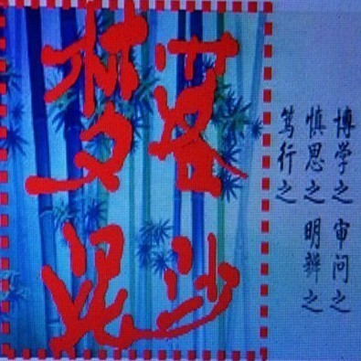 1113677 梦落泥沙