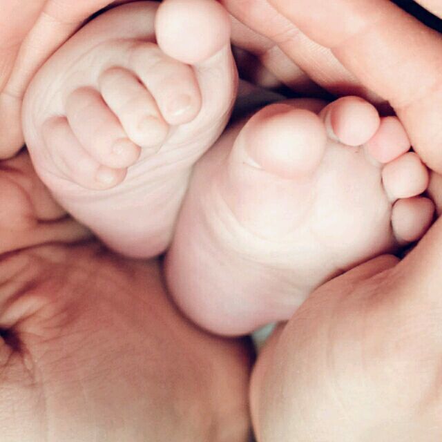 1114031 子墨