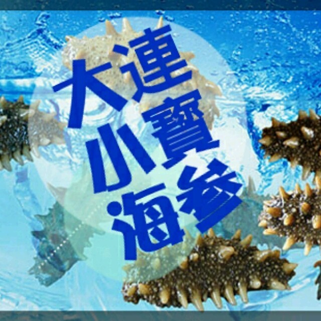 1114056 大连小寳海参