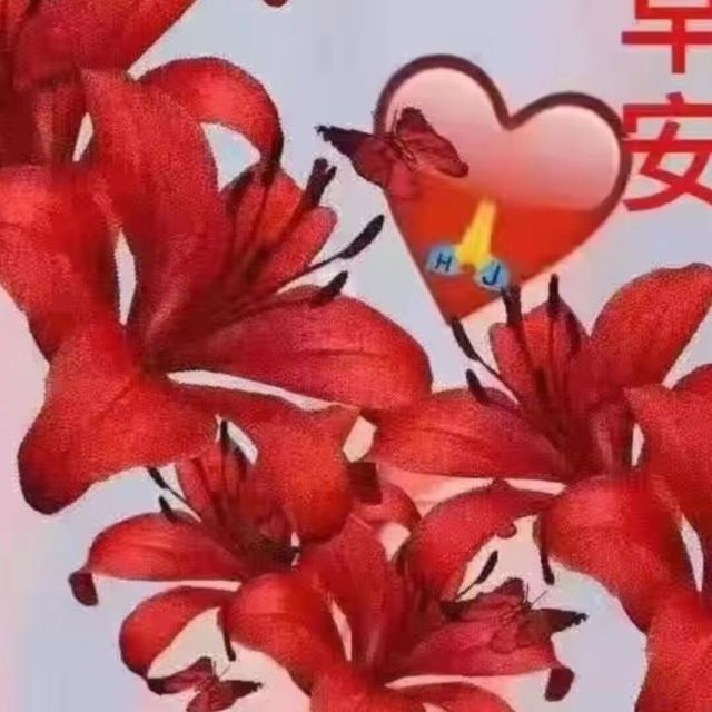 1114062 红 尘
